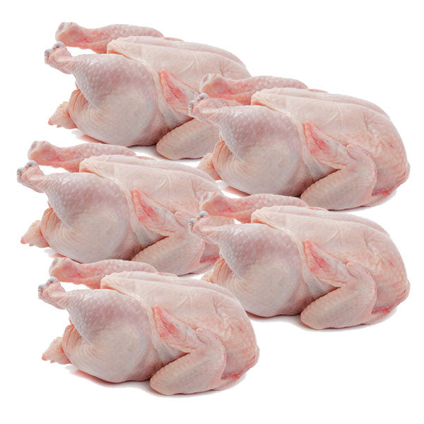 Whole Chicken (size 5) x5